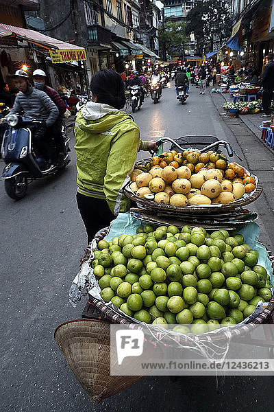 Street vendor selling fruit  Hanoi  Vietnam  Indochina  Southeast Asia  Asia