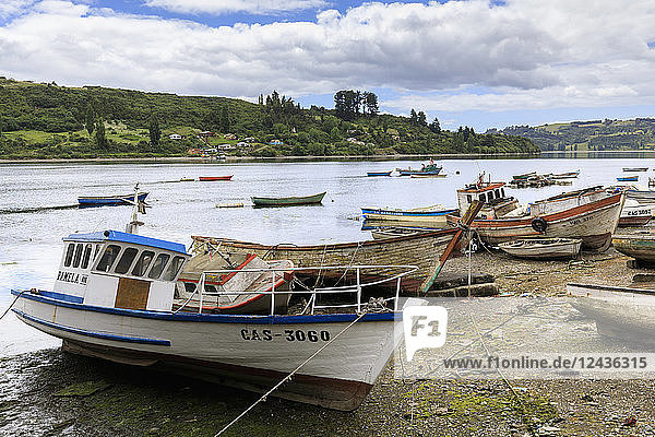 Geschützte Flussmündung mit Booten  Chiloe  Castro  Isla Grande de Chiloe  Chile  Südamerika