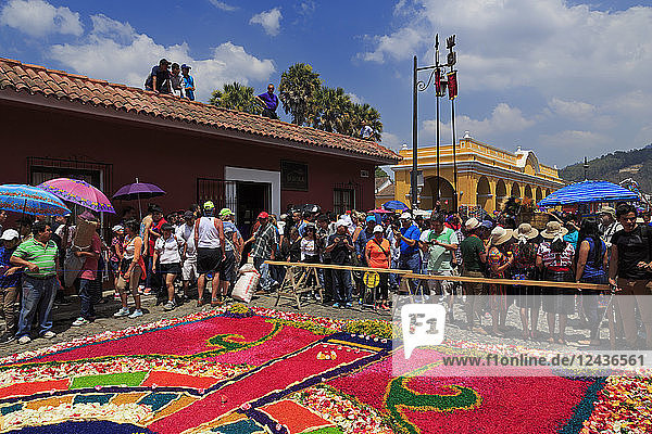 Alfrombras für die Prozession in der Karwoche  Antigua City  Guatemala  Mittelamerika
