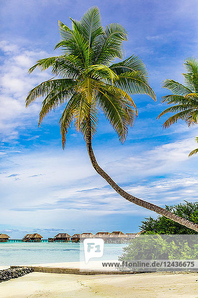 Szenerie im Conrad Maldives Rangali Island  Malediven  Indischer Ozean  Asien