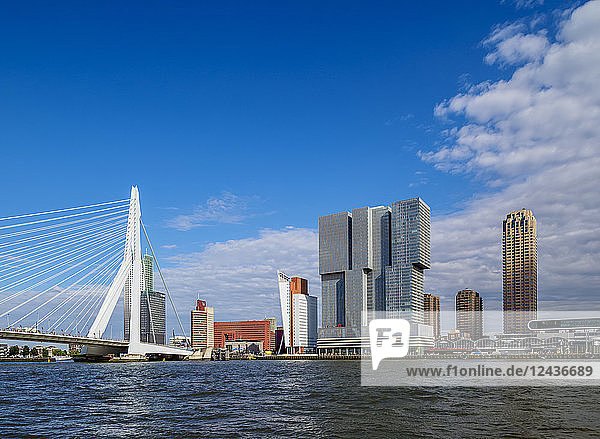 Erasmus Bridge and Kop van Zuid skyline  Rotterdam  South Holland  The Netherlands  Europe