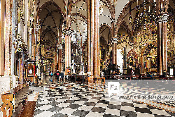 Interior of Duomo (Cattedrale Santa Maria Matricolare)  Verona  Veneto Province  Italy  Europe