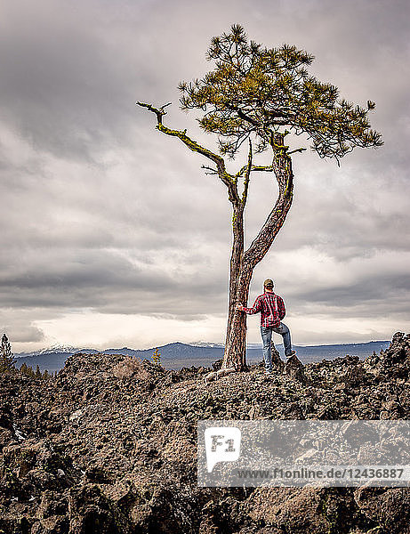 A man wearing flannel and blue jeans stands next to a solo tree in an old lava field  Oregon  United States of America  North America