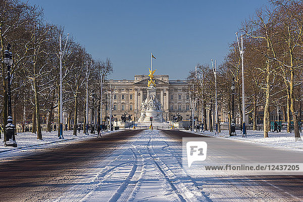 The Mall and Buckingham Palace in the snow  London  England  United Kingdom  Europe