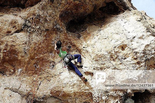 Felskletterer in Aktion an den Klippen von Malta  Mittelmeer  Europa