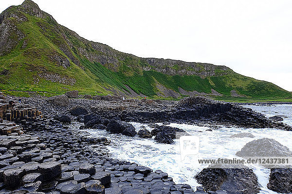 Giant's Causeway  UNESCO-Welterbestätte  Bushmills  County Antrim  an der Nordküste Nordirlands. Ulster  Nordirland  Vereinigtes Königreich  Europa