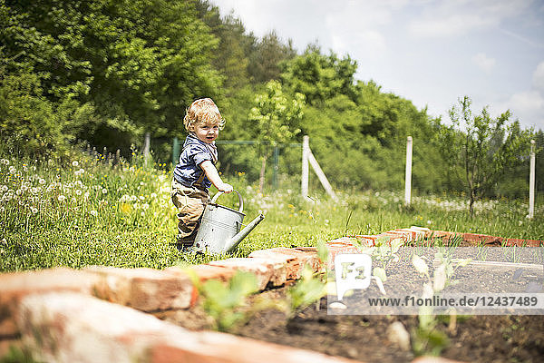 Little boy in the garden watering seedlings