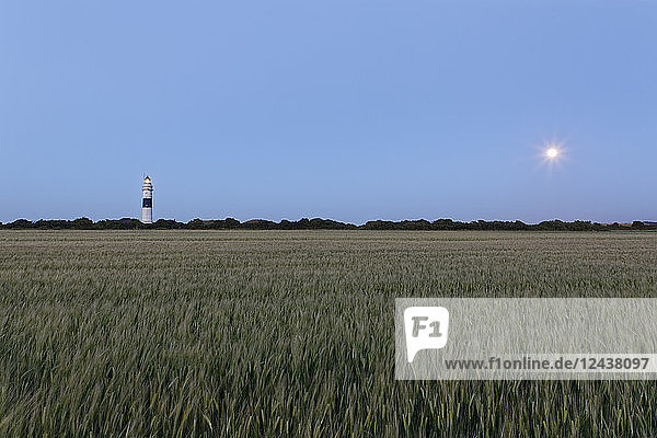 Germany  North Frisia  Sylt  Kampen lighthouse