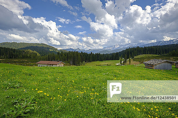 Germany, Bavaria, Upper Bavaria, Chiemgau, Winklmoosalm, Steinplatte and Loferer Steinberge
