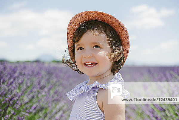 France  Provence  Valensole plateau  Happy toddler girl in purple lavender fields in the summer