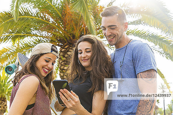 Friends sharing cell phone at a palm tree