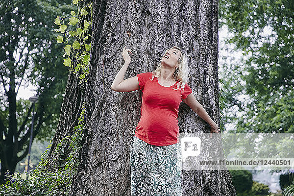 Smiling pregnant woman standing at a tree in park looking up