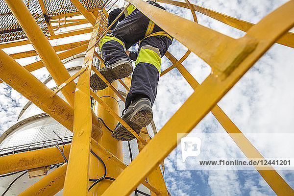Worker climbing up ladder at tank