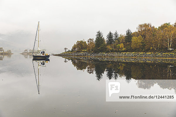 UK  Scotland  sail boat and tree reflections on a lake in the highlands