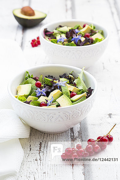 Mixed salad with avocado  red currants and borage blossoms