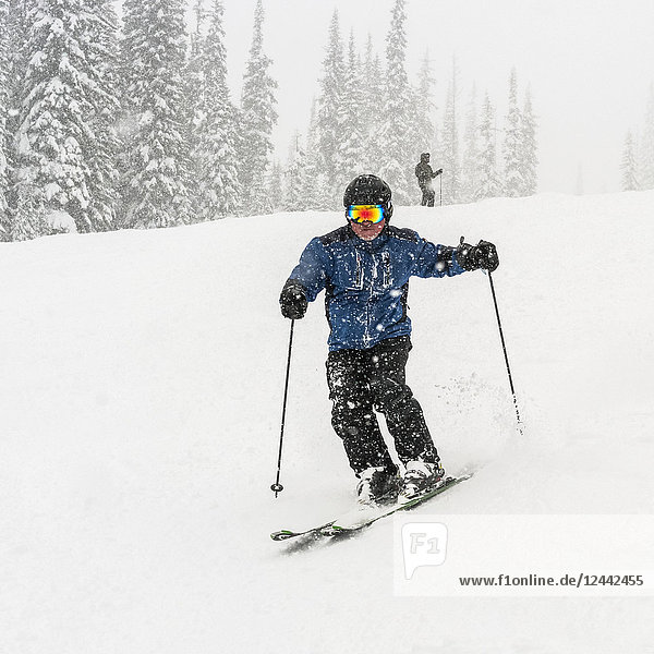 Skier going downhill in a heavy snowfall at Sun Peaks Resort; Kamloops  British Columbia  Canada
