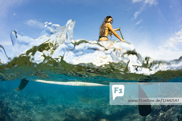 Split image of above and below water and a woman on a stand up paddle board; Hawaii  United States of America