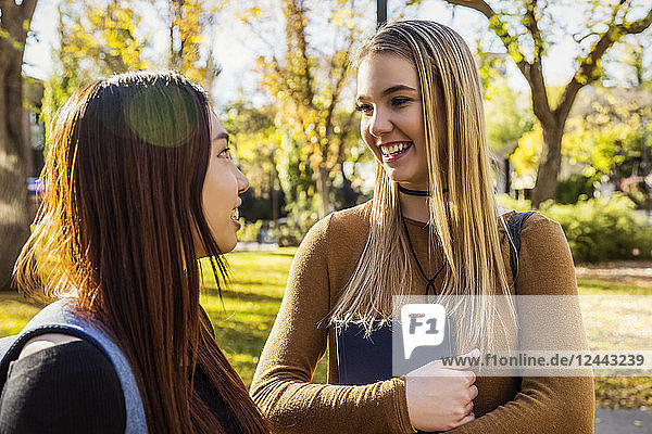 Two young female student friends stop to talk together while walking through a university campus  Edmonton  Alberta  Canada