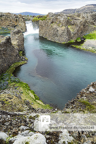 Ein wunderschöner Aussichtspunkt auf den Wasserfall Hjalparfoss und den Fluss durch ein Tal voller Lupinenblüten  Island