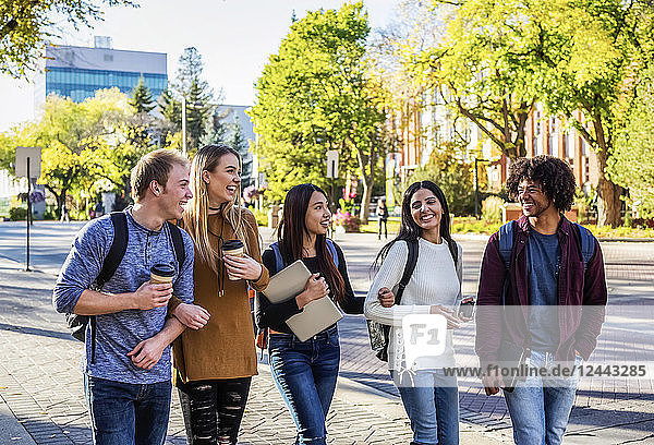 Eine ethnisch gemischte Gruppe von Universitätsstudenten geht im Herbst auf dem Campus in Edmonton  Alberta  Kanada  spazieren und spricht miteinander.