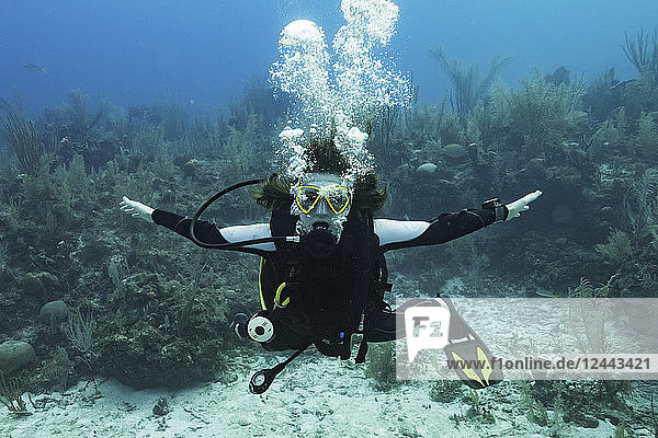 Scuba diver at Three Amigos Dive Site  Belize Barrier Reef  Belize