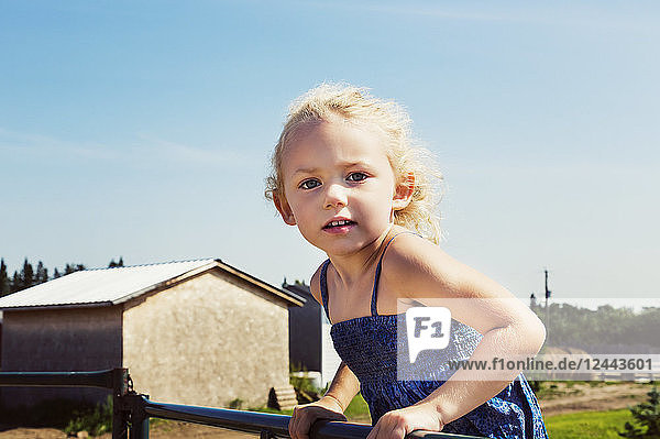 Nahaufnahme eines kleinen Mädchens mit blondem  lockigem Haar  das auf einem Metallzaun auf einer Farm steht und in die Kamera schaut  Edmonton  Alberta  Kanada