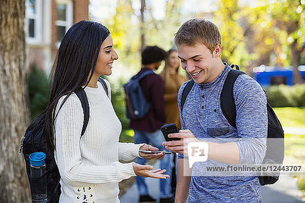 Ein männlicher und ein weiblicher Universitätsstudent stehen auf einem Weg und schauen gemeinsam auf ein Smartphone  lachen und unterhalten sich mit einer kleinen Gruppe von Kommilitonen im Hintergrund  Edmonton  Alberta  Kanada
