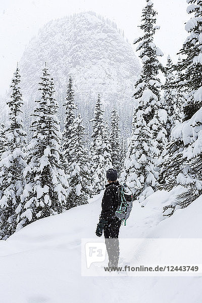 Female snowshoer on snowy trail overlooking snow-covered evergreen trees and a domed snow-capped mountain  Banff National Park; Lake Louise  Alberta  Canada
