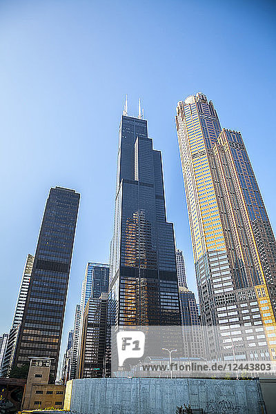 Gebäude in Chicago  einschließlich Willis Tower  Chicago  Illinois  Vereinigte Staaten von Amerika