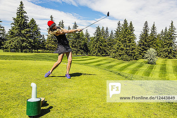 Eine Golferin schlägt einen Golfball über das grüne Gras eines Golfplatzes  wobei sich ihr Driver und der Ball in der Luft befinden; Edmonton  Alberta  Kanada