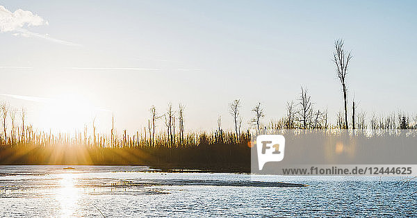 Sonnenlicht beleuchtet einen See bei Sonnenuntergang  Elk Island National Park; Alberta  Kanada