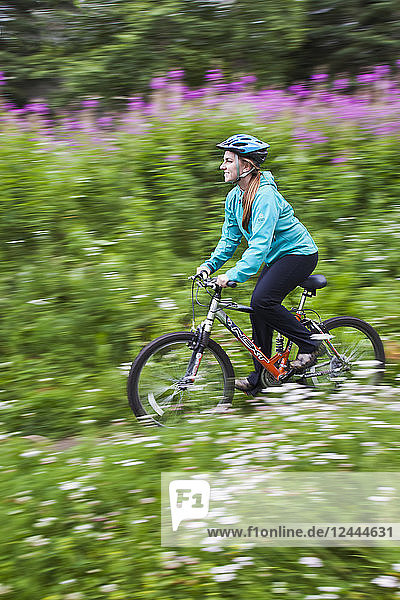 Frau Reiten ein Mountainbike auf einem Weg durch Fireweed Blumen in South Anchorage  Southcentral Alaska  Sommer