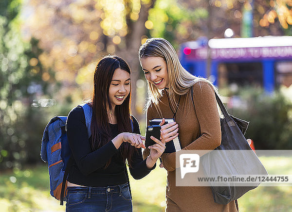 Two university student friends stand together on a university campus looking at a smart phone  Edmonton  Alberta  Canada