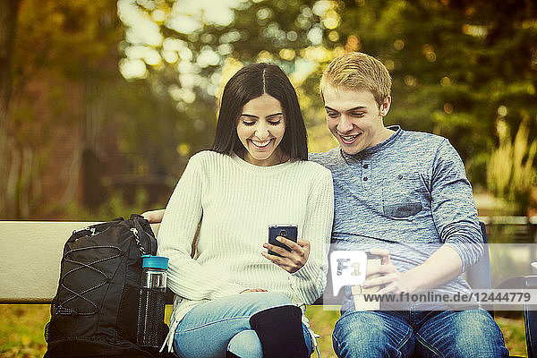 Young dating couple who are university students sitting on a bench on campus and looking at social media on a smart phone  Edmonton  Alberta  Canada