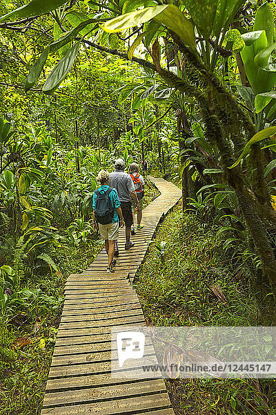 Touristen auf der Promenade zu den Waimoku Falls  Kipahulu  Maui  Hawaii  Vereinigte Staaten von Amerika