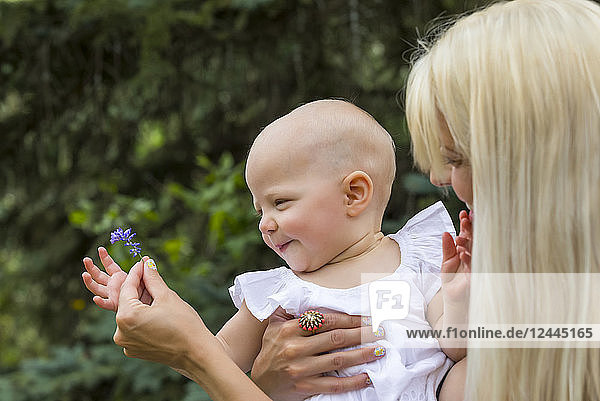 A young mom showing her baby daughter a flower while enjoying quality time together outdoors in a park on a warm summer day  Edmonton  Alberta  Canada