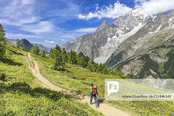 View of the Mont Blanc Massif: a trekker is walking to the Bertone Refuge during the Mont Blanc hiking tours (Ferret Valley Courmayeur Aosta province Aosta Valley Italy Europe).