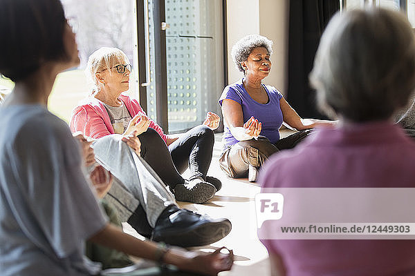 Serene active seniors meditating in circle