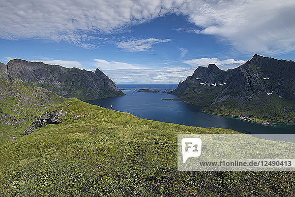 Female hiker walks along hillside above Reinefjord  Moskenes??y  Lofoten Islands  Norway