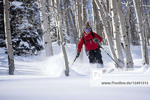 Mann Skifahren auf verschneiter Landschaft durch einen Espenhain