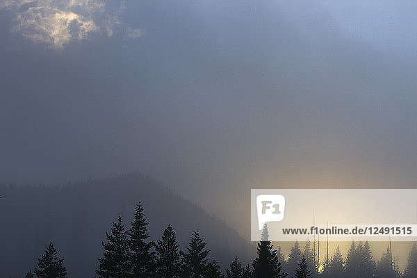 Die Sonne geht durch den Nebel im Wild and Scenic Lochsa River Valley in Idaho unter.
