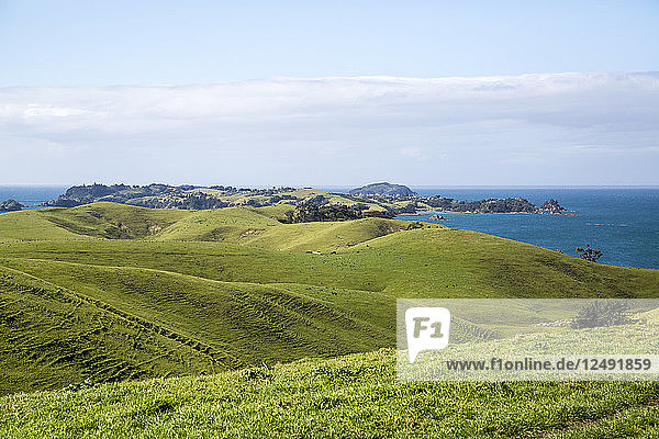 Landschaftliche Ansicht von Rangitoto und Motutapu Insel in Neuseeland