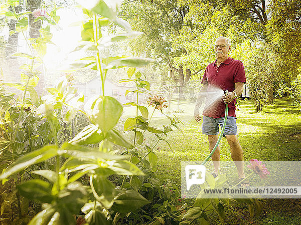 A middle aged man sprinkles water on plants in his garden.