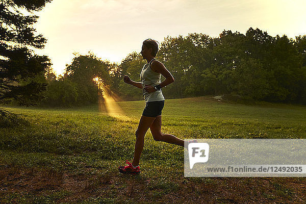Weibliche Läuferin läuft im Wald bei Sonnenaufgang