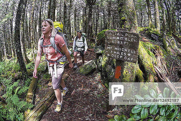 Two women hiking the Black Mountain Crest Trail  Pisgah National Forest  Burnsville  North Carolina.