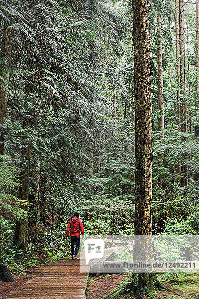 Ein Mann in rotem Mantel und Jeans geht über eine Holzpromenade  die von großen grünen Bäumen umgeben ist.