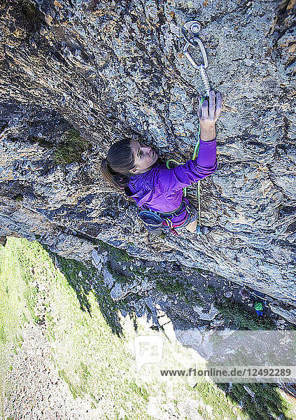 Eine Frau klemmt beim Vorstiegsklettern im Little Cottonwood Canyon  Utah  ein Quickdraw ein.