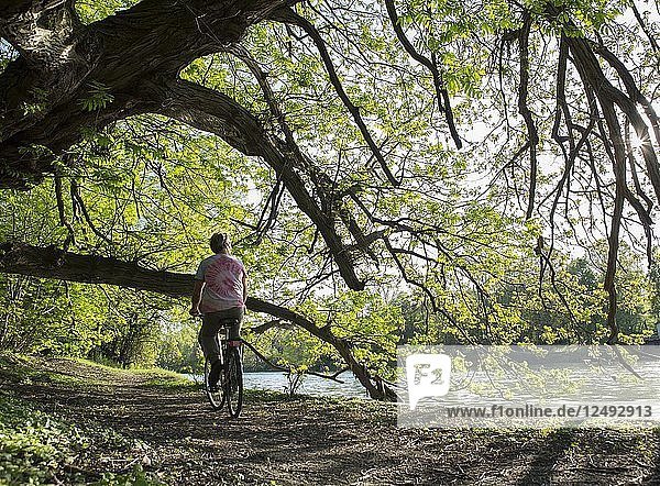 Mann radelt am Flussufer entlang  Wald
