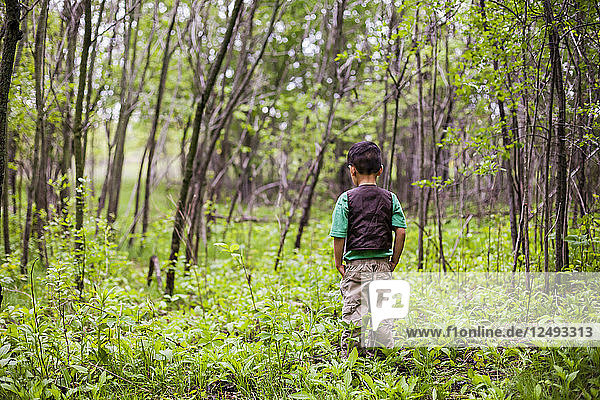 A 4 year old Japanese American boy wears a vest and a fisherman hat in a grove of green trees in Myre Island State Park  Minnesota.