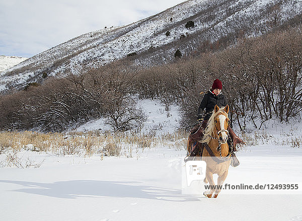 Young women gallops a horse across a snowy field.